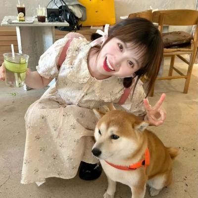 山中有些小精灵