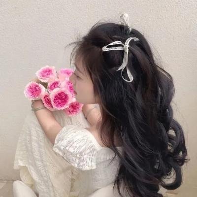 迷幻卧底:费瑞崛起